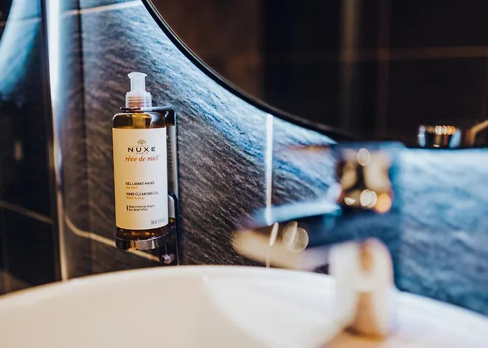 ホテル Wine & Wellness Besedni Dum 3*