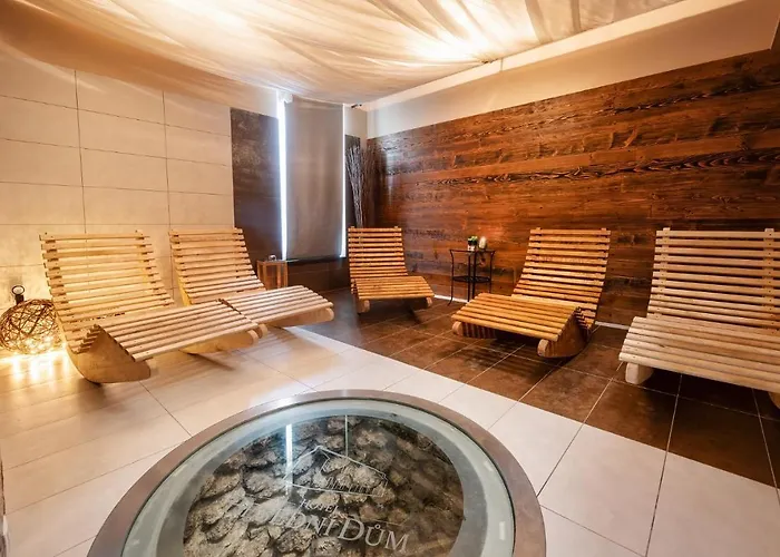 Wine & Wellness Besedni Dum
