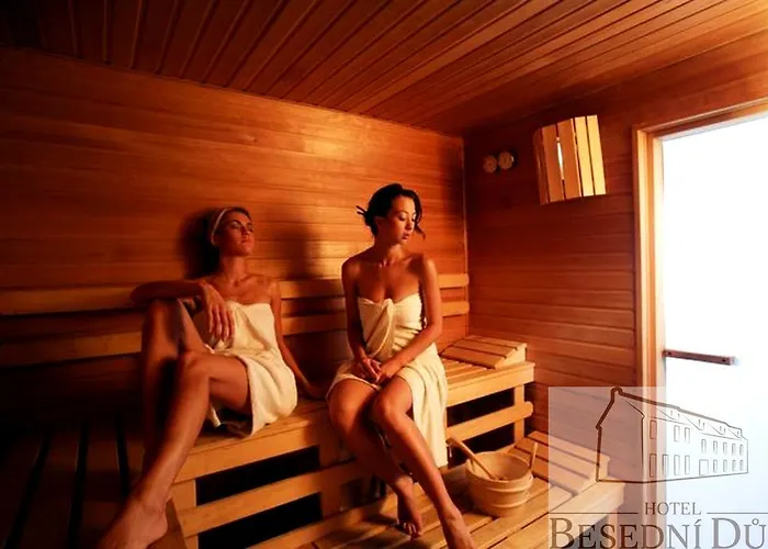 Hotel Wine & Wellness Besedni Dum